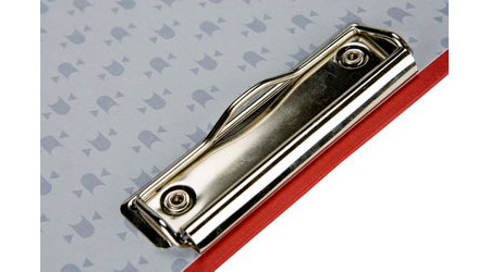 Pinza
